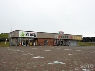 どんと美咲喜