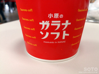 ガラナソフトクリーム(2)