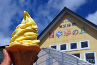 かぼちゃソフトクリーム