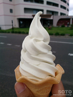 ピスタチオソフトクリーム