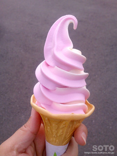 しっそソフトクリーム
