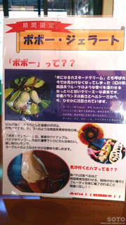 ポポーとは