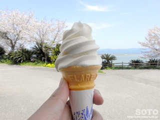 丸大豆醤油ソフトクリーム
