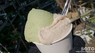 桑の葉&蕎麦ジェラート