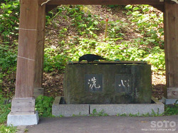 カラス