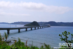 p勴iRj