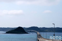 p勴iSj