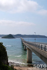 p勴iTj