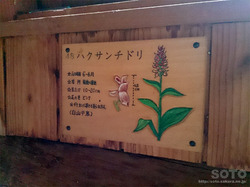木下小屋(7)