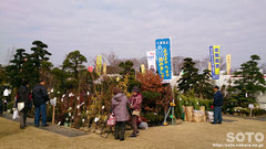 JA植木まつり2015