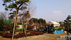 くまもと春の植木市2014(2)