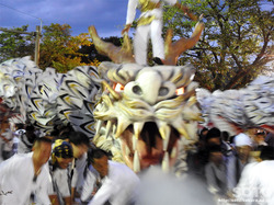 白龍祭(14)