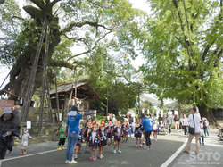 菊池秋祭り2016(4)