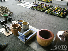 競り市(1)