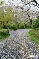 菊池公園遊歩道