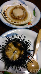 ウニとホタテ