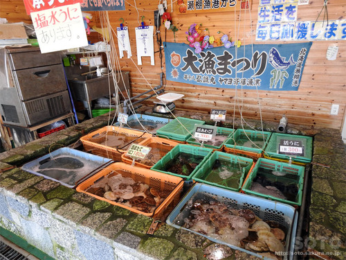 漁師の直売所(2)