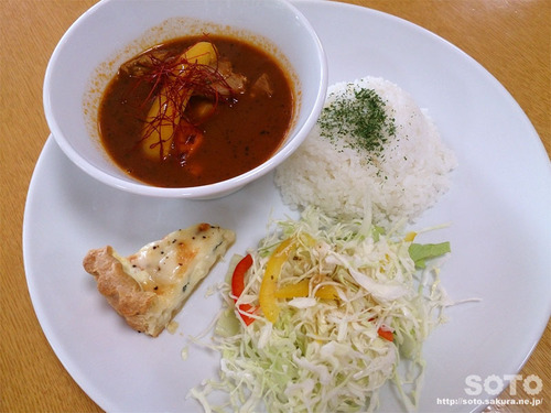 知床自然センター(知床鶏スープカレー)