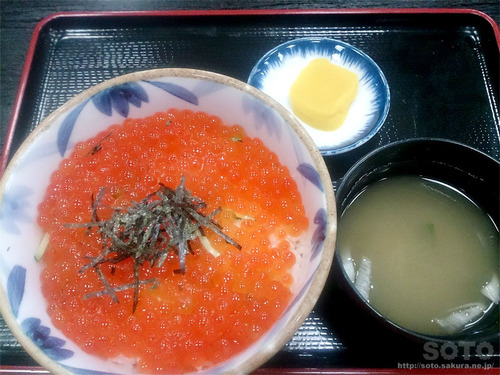 いくら丼
