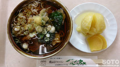 愛山渓温泉(山菜そば)