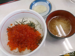 ウトロ漁協婦人部食堂(いくら丼)