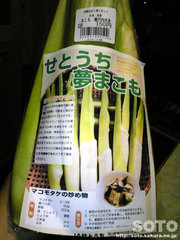 まこも(1)