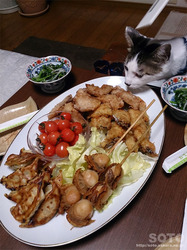 ӎ`iPj