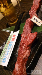 山牛(サガリ)