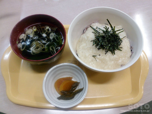 ̉wɂ炳iƂ낲сj