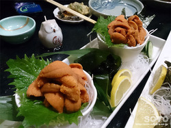 和座和座(2)