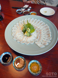 鰻樹(うな刺)