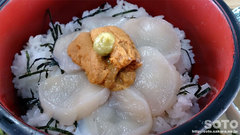 間宮堂(灯台丼/ホタテ&ウニ)