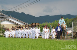 阿蘇神社おんだ祭(33)