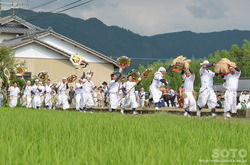 阿蘇神社おんだ祭(35)