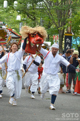 阿蘇神社おんだ祭(45)