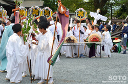 阿蘇神社おんだ祭(51)