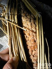 手作り納豆