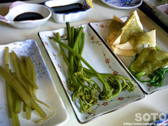 山菜料理