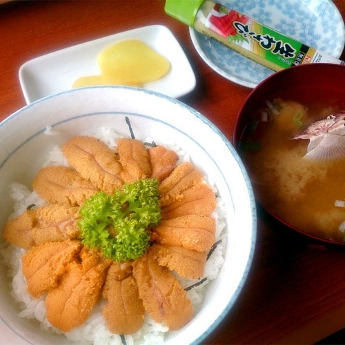 漁師の店(ウニ丼)