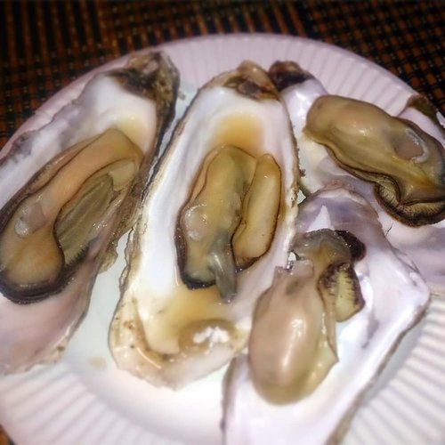 寿都の牡蠣