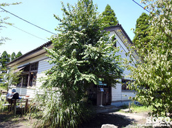 wZՁiRj