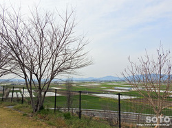 年賀塚跡(2)