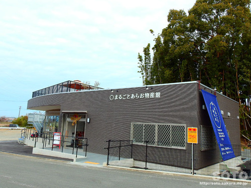 万田坑(04)