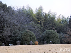 岩戸山古墳(4)