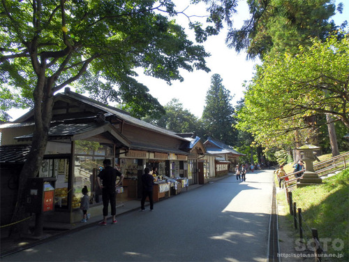 平泉(26)