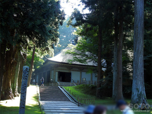 平泉(31)