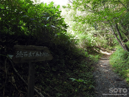 遠野 続石(山道2)