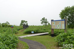 ポー川史跡自然公園（散策路入り口）