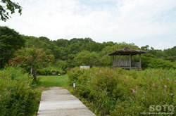 ポー川史跡自然公園(散策路/展望台)