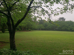 高岡古城公園(4)